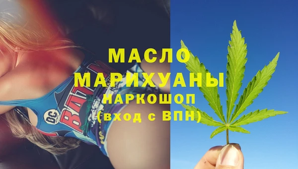 молекула духа Новозыбков