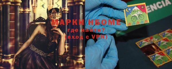 молекула духа Новозыбков