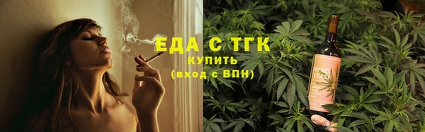 молекула духа Новозыбков
