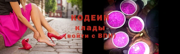 молекула духа Новозыбков