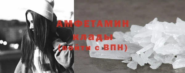 молекула духа Новозыбков