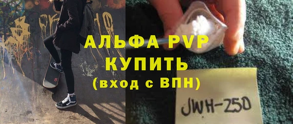 молекула духа Новозыбков